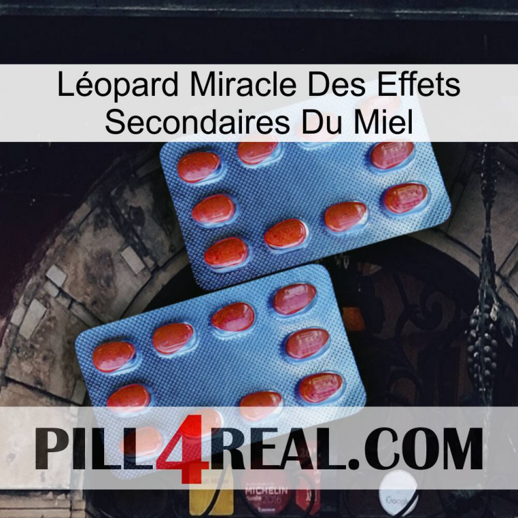 Léopard Miracle Des Effets Secondaires Du Miel 05